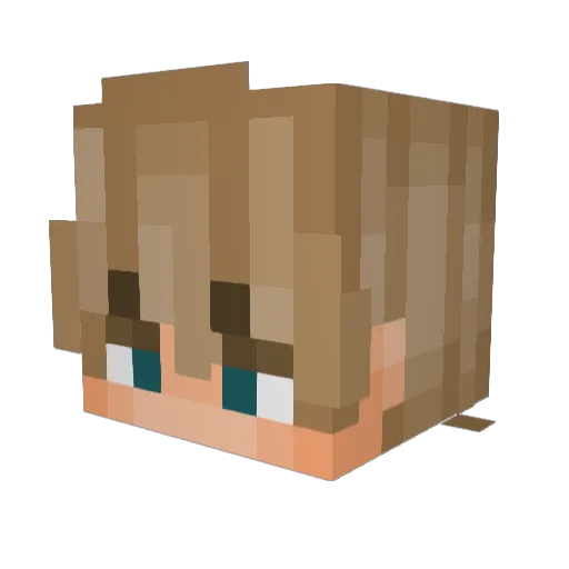 00_Unknown_00 Minecraft avatar head, 3D render