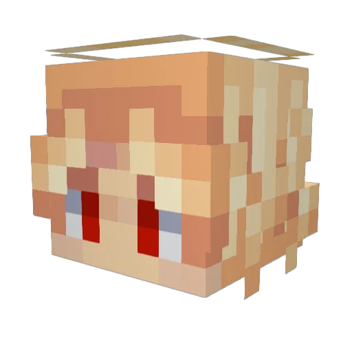 00_Voided_00 Minecraft avatar head, 3D render