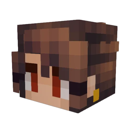 00niche Minecraft avatar head, 3D render