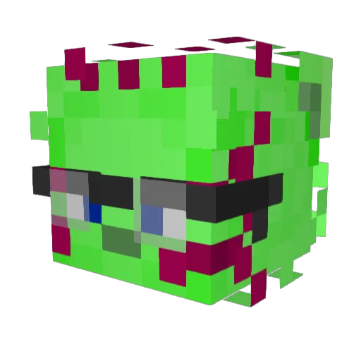 00r_ Minecraft avatar head, 3D render