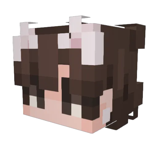 00salad00 Minecraft avatar head, 3D render