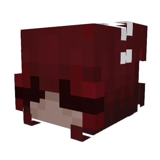 00shadowdragon00 Minecraft avatar head, 3D render
