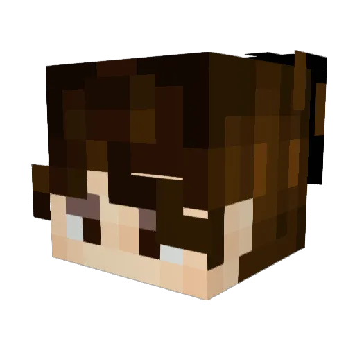 00xander11 Minecraft avatar head, 3D render