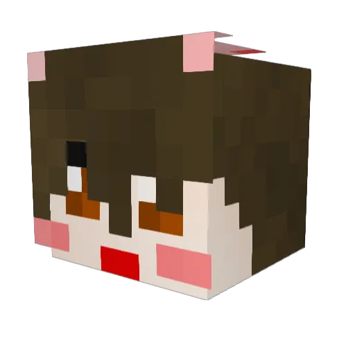 00years Minecraft avatar head, 3D render