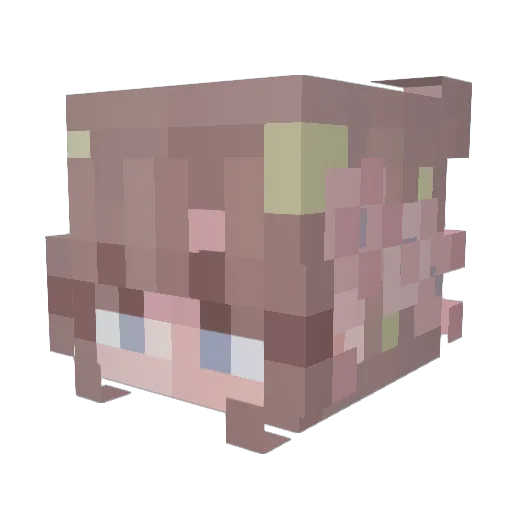0110101110 Minecraft avatar head, 3D render