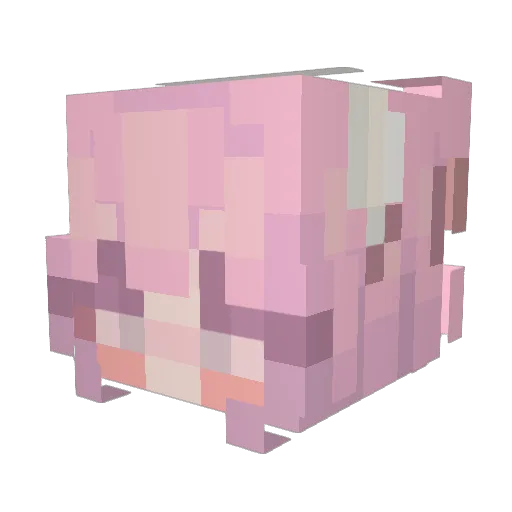 0147xj Minecraft avatar head, 3D render