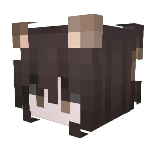 01Nimz02 Minecraft avatar head, 3D render