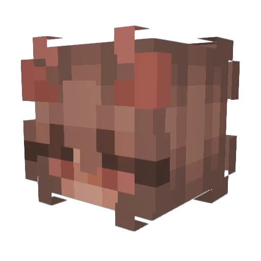 01y Minecraft avatar head, 3D render