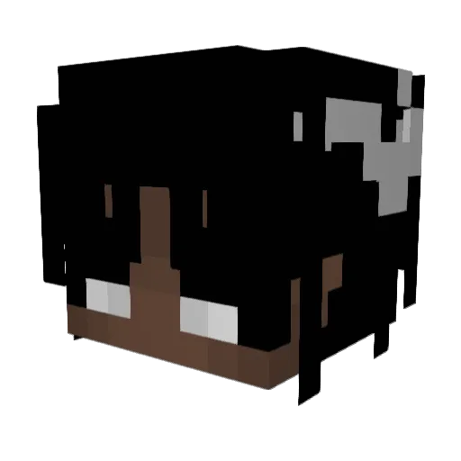 021_veira Minecraft avatar head, 3D render