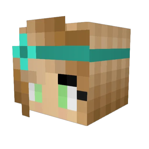 02365coco Minecraft avatar head, 3D render