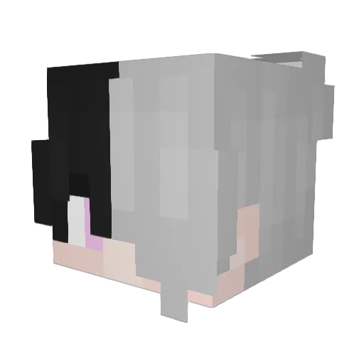 023_PR Minecraft avatar head, 3D render