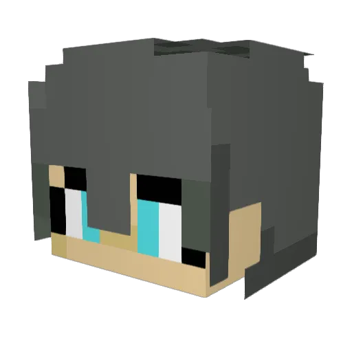 02panda Minecraft avatar head, 3D render