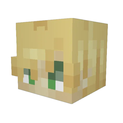 0408Olaf Minecraft avatar head, 3D render