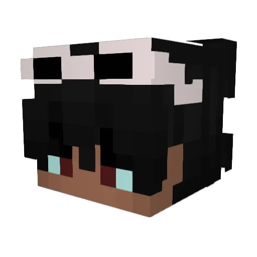 040Elias Minecraft avatar head, 3D render