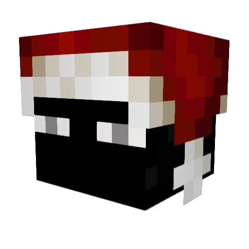 0429_c Minecraft avatar head, 3D render