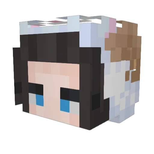 04cn Minecraft avatar head, 3D render