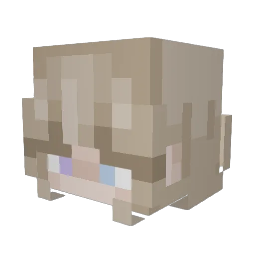 04kiwi_ Minecraft avatar head, 3D render