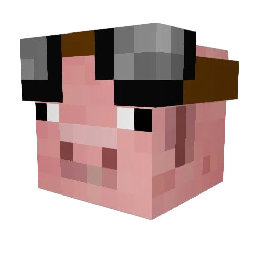 04tsnell Minecraft avatar head, 3D render