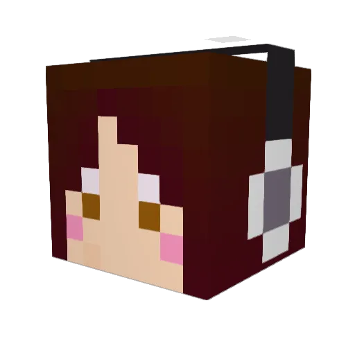 0510Penguin Minecraft avatar head, 3D render