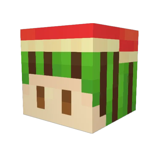 0519leejun Minecraft avatar head, 3D render