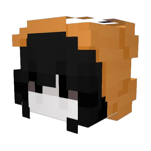 055s Minecraft avatar head, 3D render