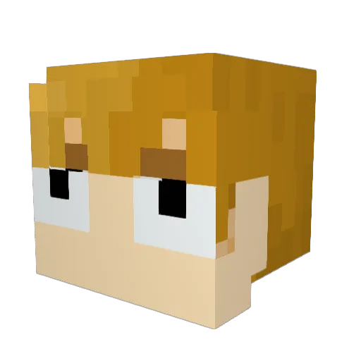 05SMS Minecraft avatar head, 3D render