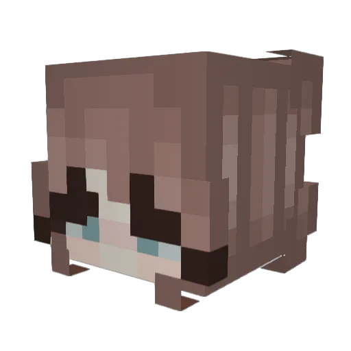 05loppan Minecraft avatar head, 3D render