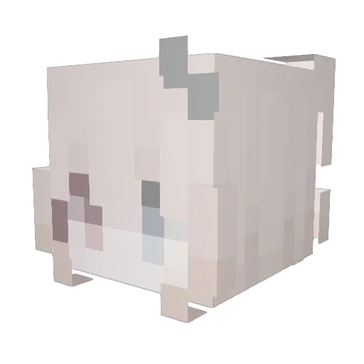 06lidia Minecraft avatar head, 3D render