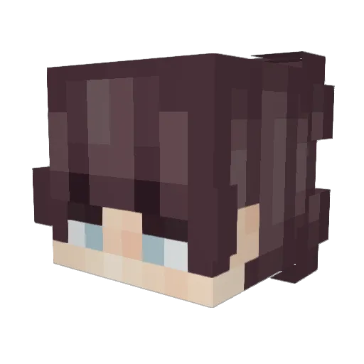 06ms Minecraft avatar head, 3D render