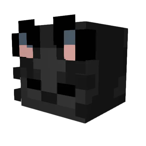 06th Minecraft avatar head, 3D render
