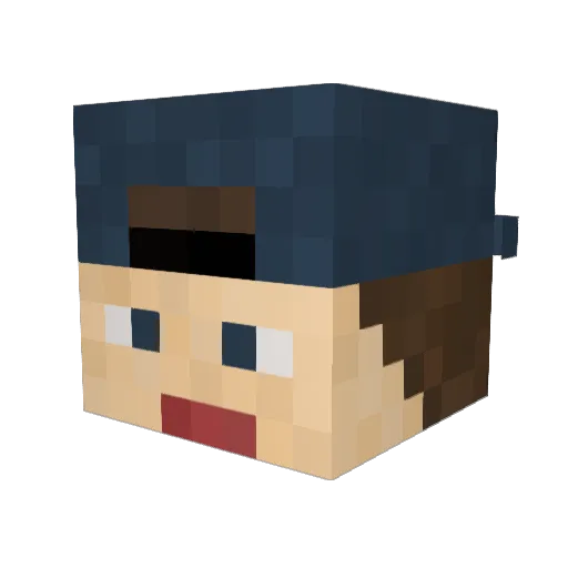 0702tim Minecraft avatar head, 3D render