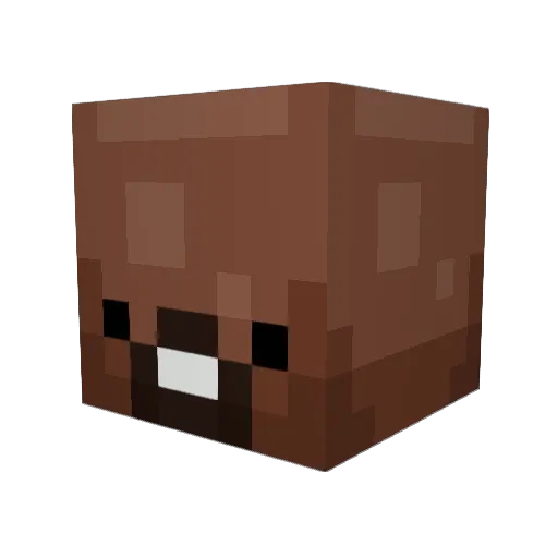 0707RAIN Minecraft avatar head, 3D render