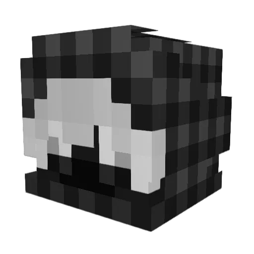 070y Minecraft avatar head, 3D render