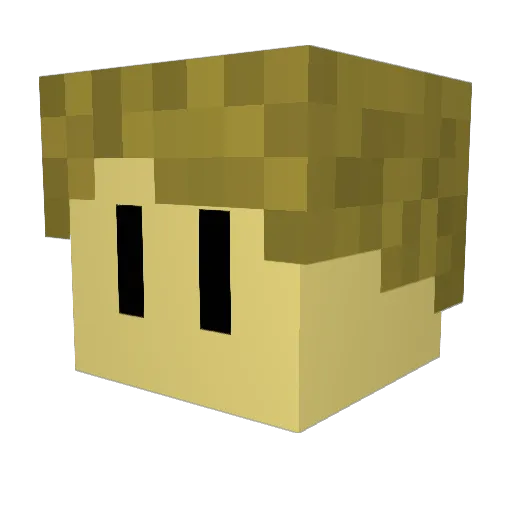 08PJSammich08 Minecraft avatar head, 3D render