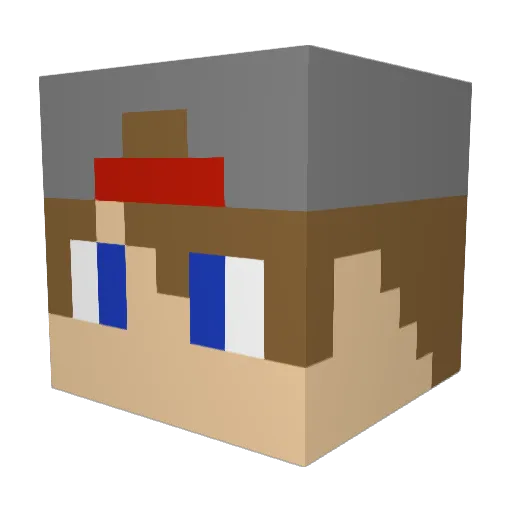 08_PATD_07 Minecraft avatar head, 3D render