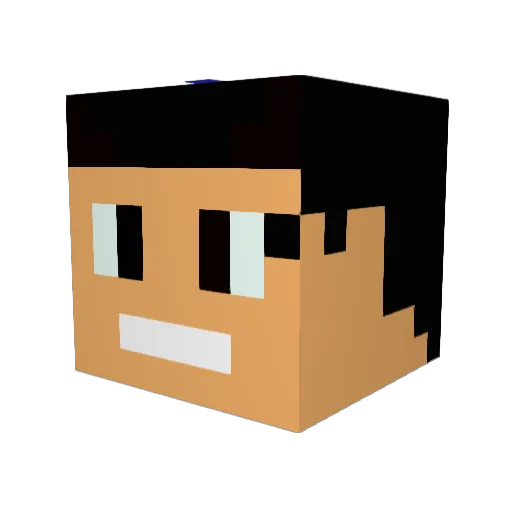 08mcgety Minecraft avatar head, 3D render