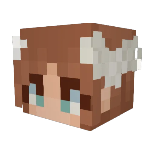 08mj Minecraft avatar head, 3D render