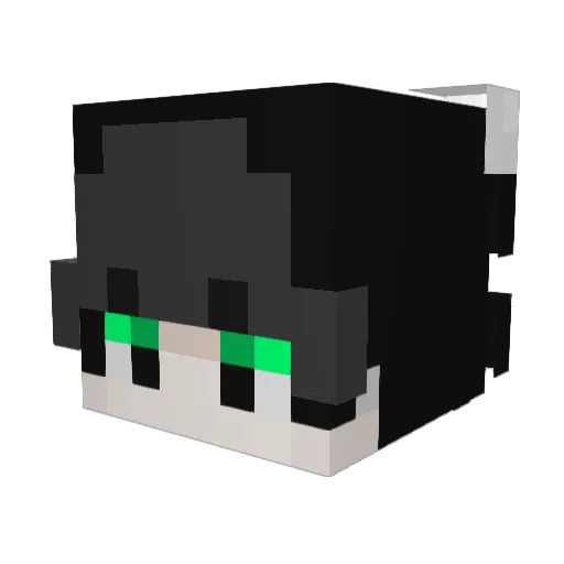 090906 Minecraft avatar head, 3D render