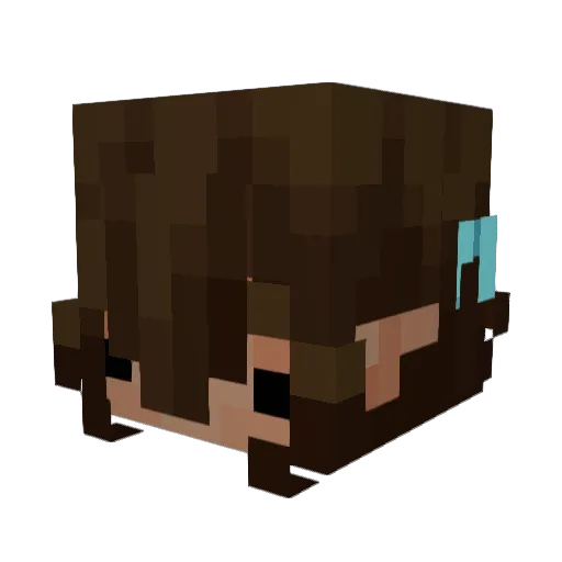 09and08 Minecraft avatar head, 3D render