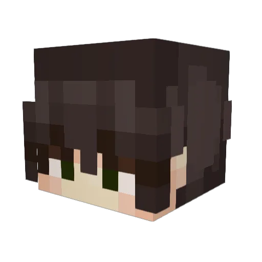 0Abyzz Minecraft avatar head, 3D render