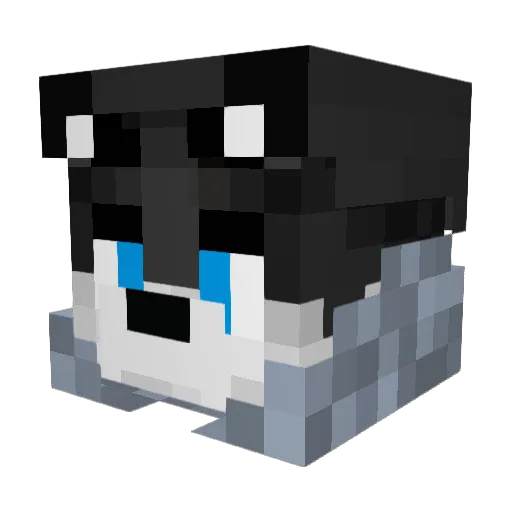 0Agent_Husky0 Minecraft avatar head, 3D render