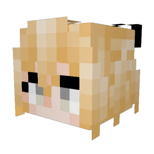 0Andrew0 Minecraft avatar head, 3D render