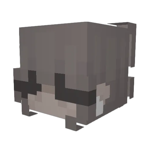 0Anil_ Minecraft avatar head, 3D render