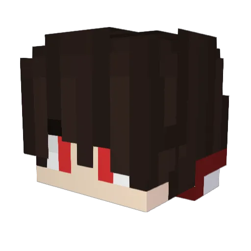 0B3rn_ Minecraft avatar head, 3D render