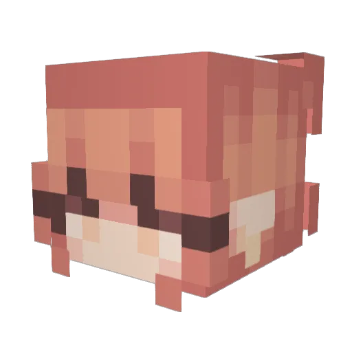 0BlueLemonade0 Minecraft avatar head, 3D render