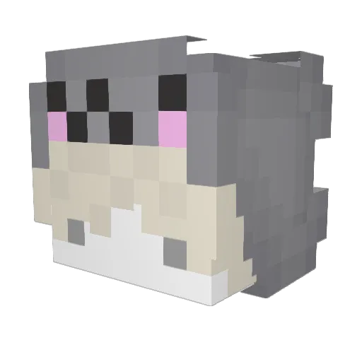 0Br_ Minecraft avatar head, 3D render