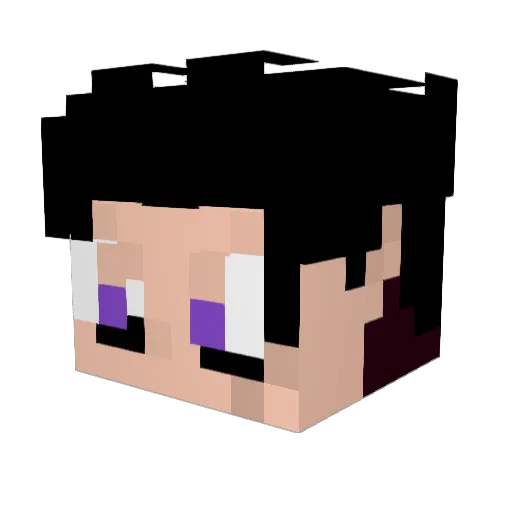 0C3AN15 Minecraft avatar head, 3D render