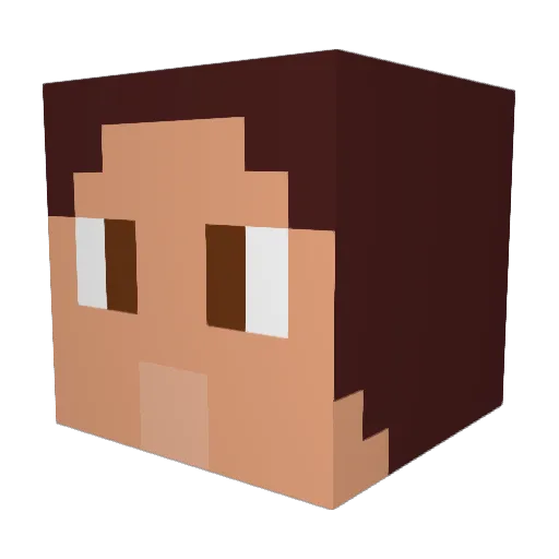 0Danos0 Minecraft avatar head, 3D render
