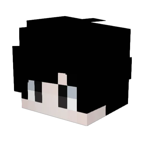 0EAN0 Minecraft avatar head, 3D render