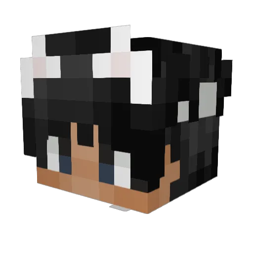 0EvWasTaken Minecraft avatar head, 3D render